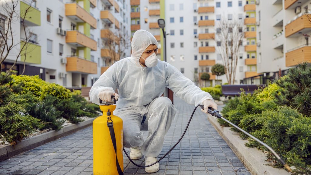 خدمات إبادة الحشرات 